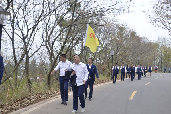 陽光行、快樂游